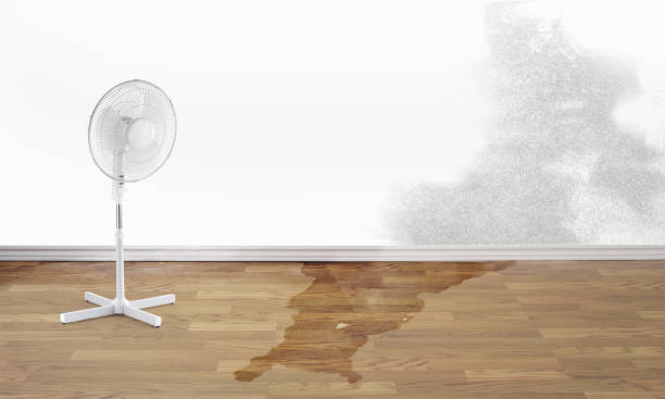 Litchfield, IL Water damage restoration Company