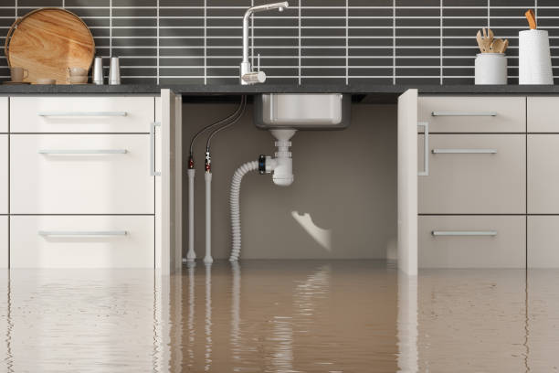 Best Local water damage restoration  in Litchfield, IL