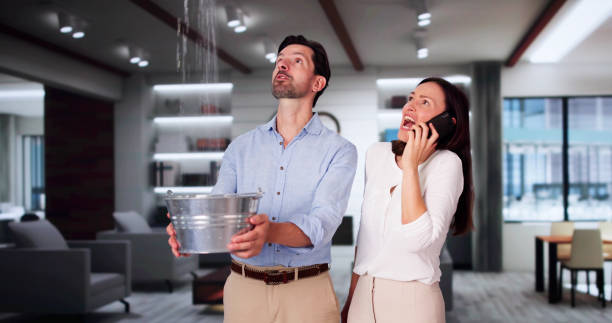 Best Local water damage restoration  in Litchfield, IL